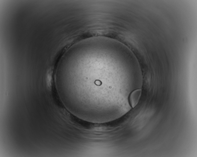 X0000089380746200706151204