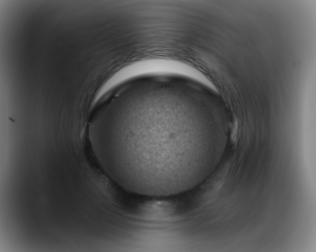 X0000089380748200706151204