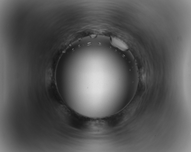 X0000089380752200706151204