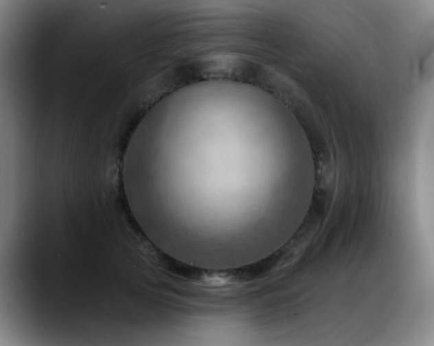 X0000089380753200706151204