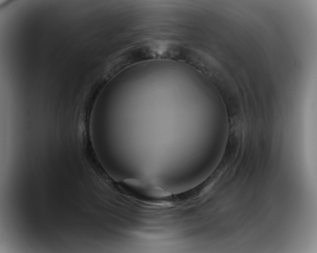X0000089380754200706151204