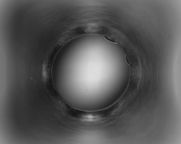 X0000089380755200706151204