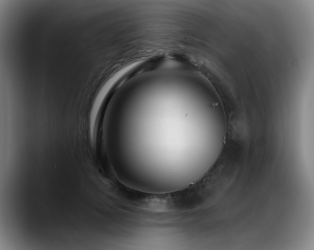 X0000089380756200706151204