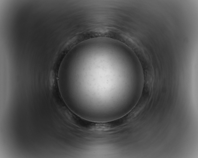 X0000089380758200706151204
