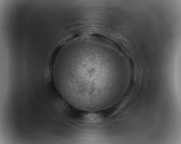 X0000089380759200706151204