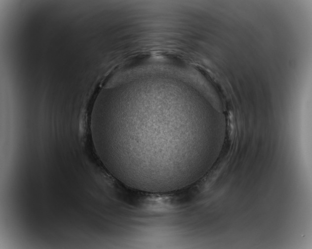 X0000089380760200706151204