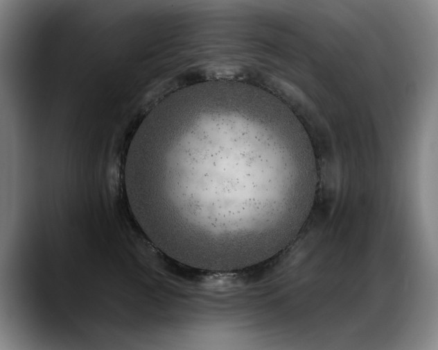 X0000089380761200706151204