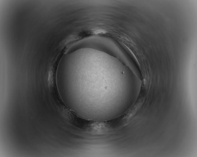 X0000089380762200706151204