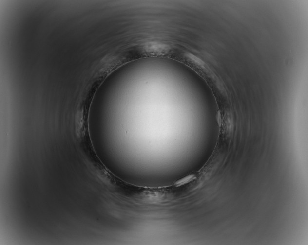 X0000089380764200706151204