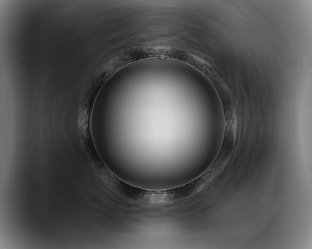X0000089380767200706151204