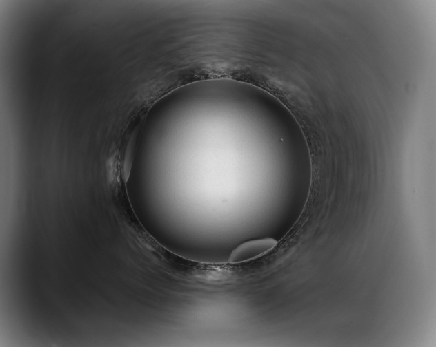 X0000089380768200706151204