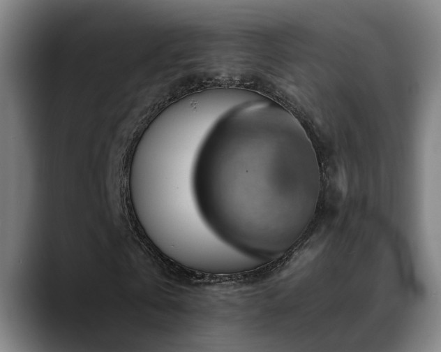X0000089380769200706151204
