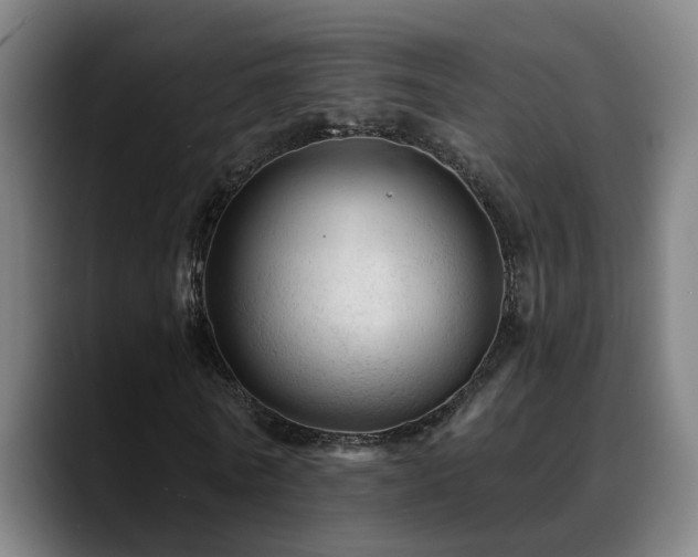 X0000089380770200706151204