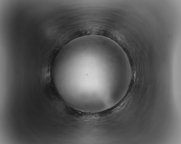 X0000089380771200706151204