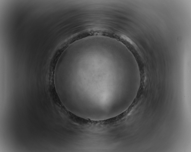 X0000089380775200706151203
