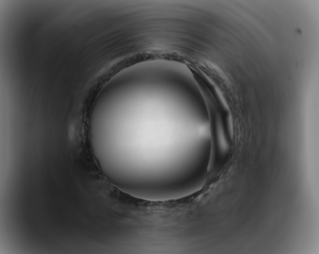 X0000089380776200706151203