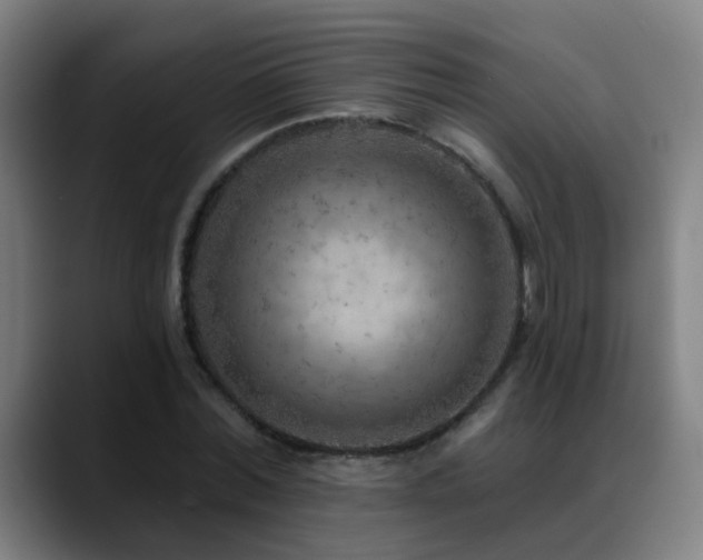 X0000089380780200706151203