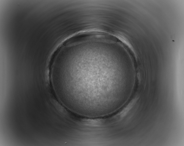 X0000089380781200706151203