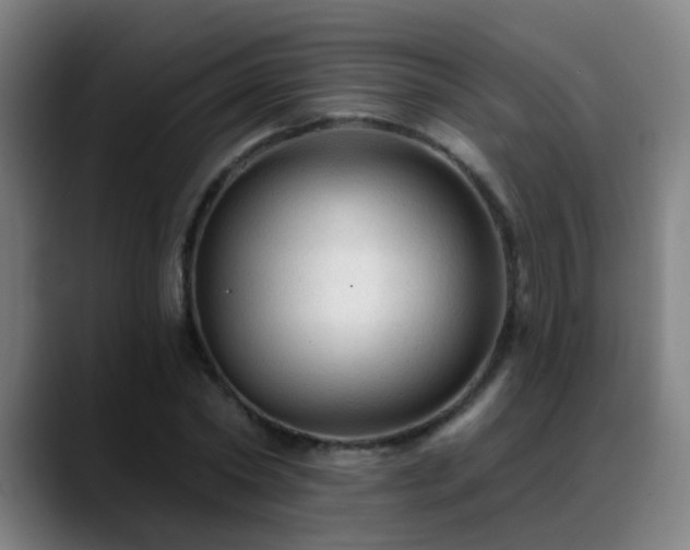 X0000089380782200706151203