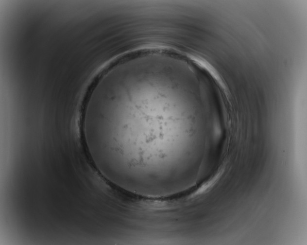 X0000089380783200706151203