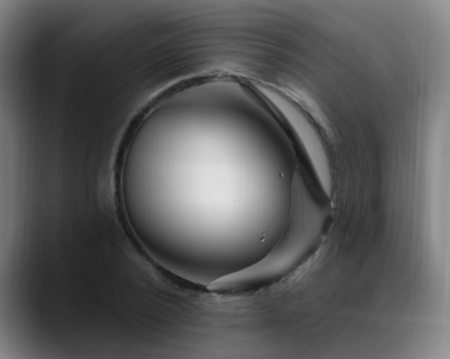 X0000089380784200706151203