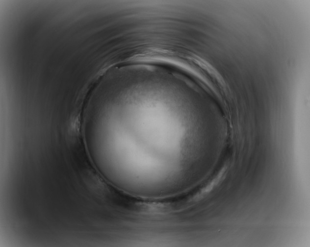 X0000089380785200706151203