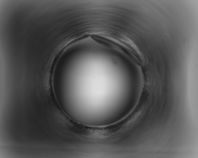 X0000089380786200706151203