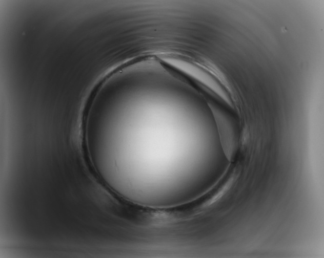 X0000089380787200706151203