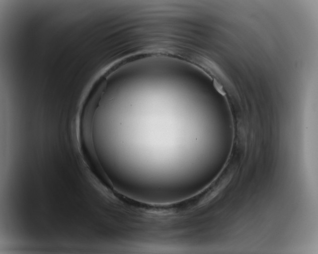 X0000089380788200706151203