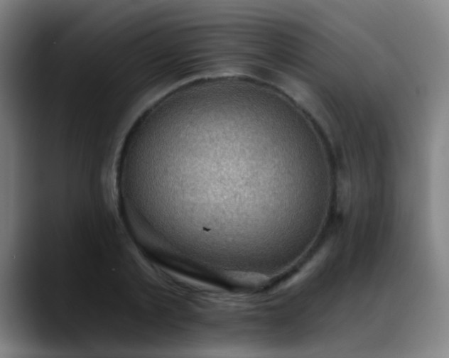 X0000089380789200706151203