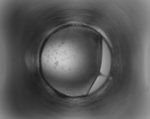 X0000089380791200706151203
