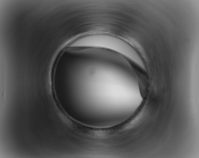 X0000089380792200706151203