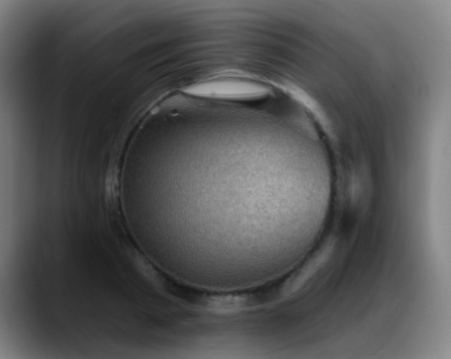 X0000089380793200706151203