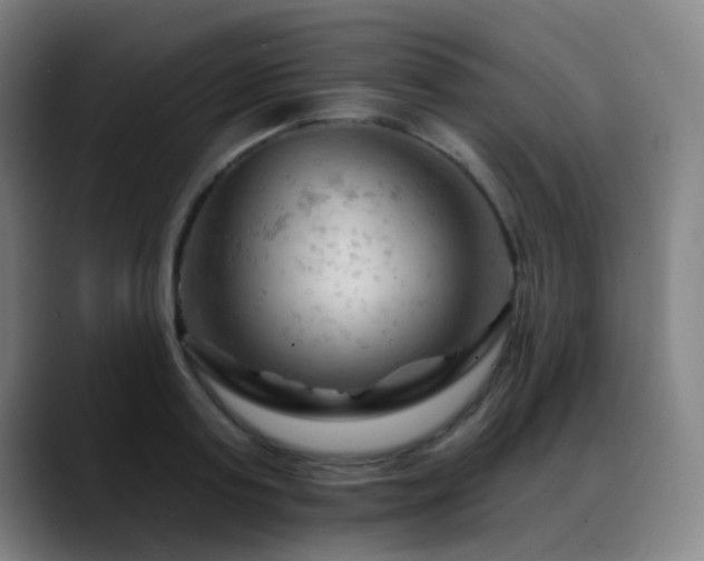 X0000089380795200706151203