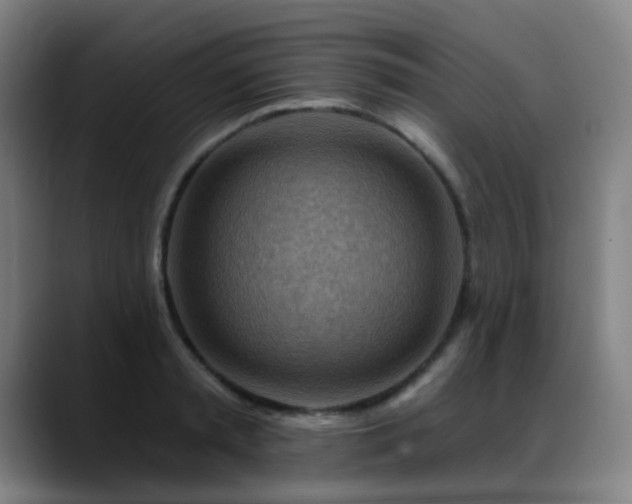 X0000089380797200706151203