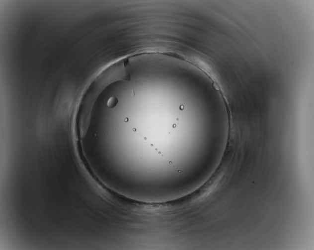 X0000089380803200706151203