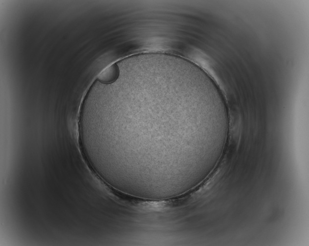 X0000089380810200706151203