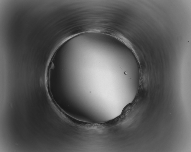 X0000089380811200706151203