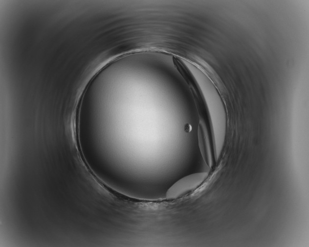 X0000089380812200706151203
