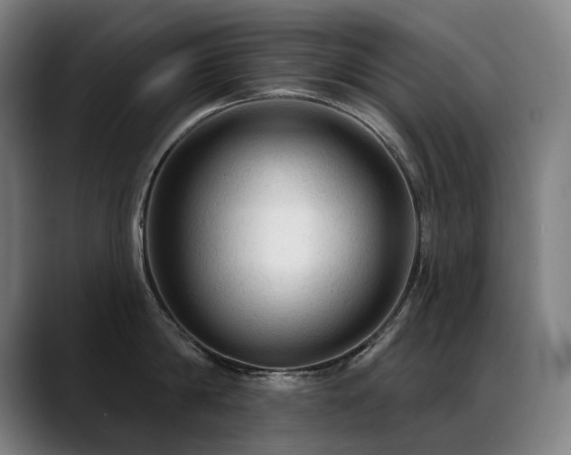 X0000089380814200706151203