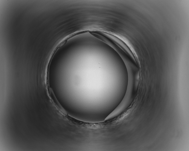 X0000089380815200706151203