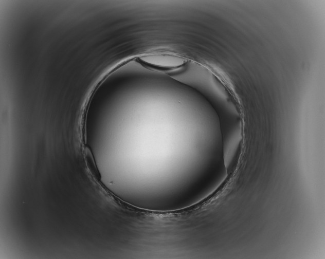 X0000089380816200706151203