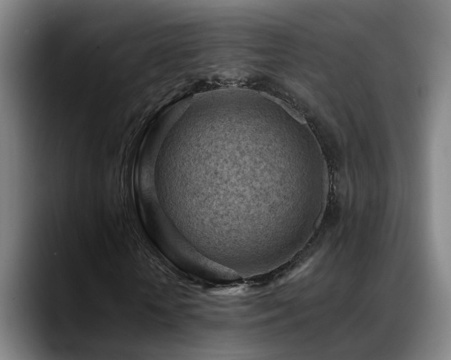 X0000089380818200706151202