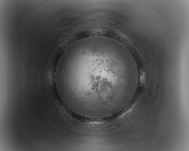 X0000089380819200706151202