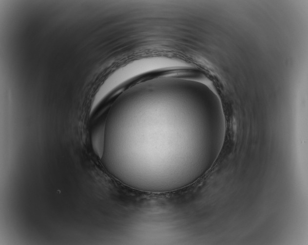 X0000089380822200706151202