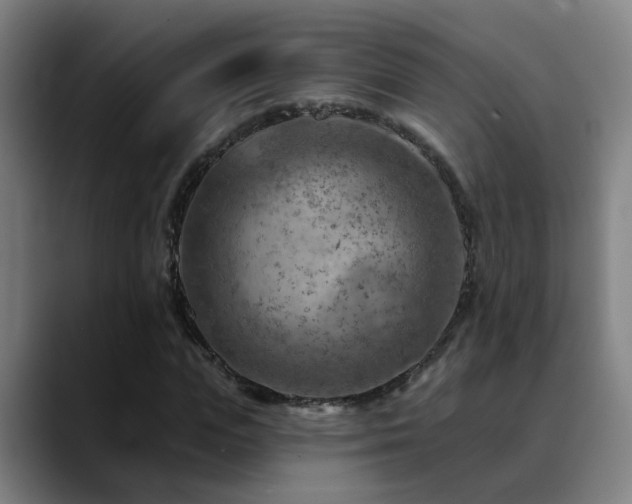 X0000089380823200706151203