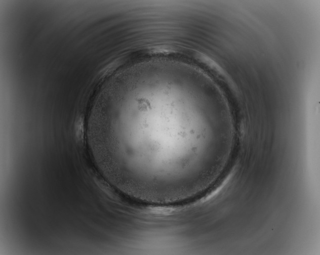 X0000089380825200706151203