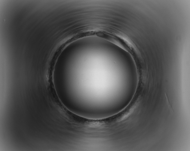 X0000089380826200706151203