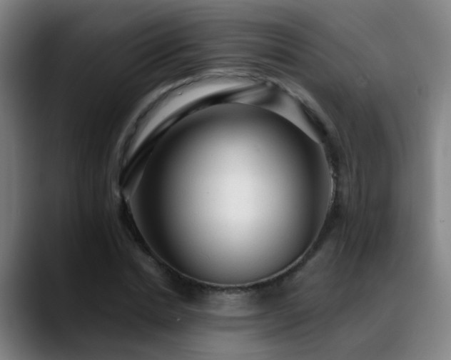 X0000089380830200706151203