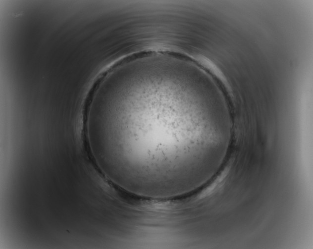 X0000089380831200706151203